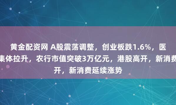 黄金配资网 A股震荡调整，创业板跌1.6%，医药、银行集体拉升，农行市值突破3万亿元，港股高开，新消费延续涨势