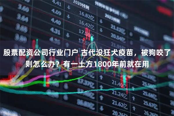 股票配资公司行业门户 古代没狂犬疫苗，被狗咬了则怎么办？有一土方1800年前就在用